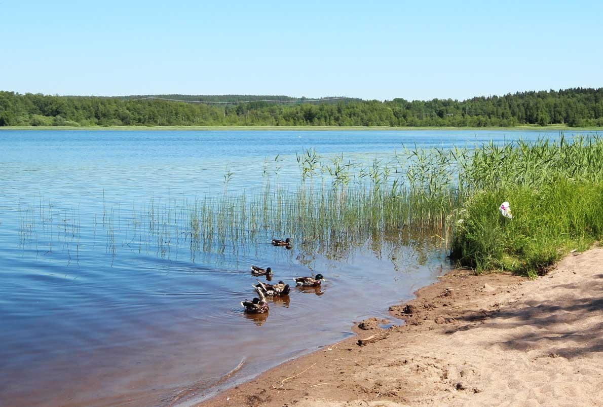 Pyhäjärven Uimaranta - Kuva: Tony Hagerlund