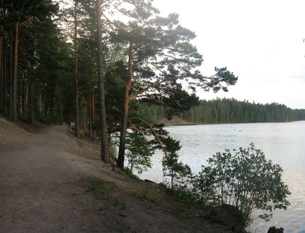 Saarijärven Uimaranta - Kuva: Tony Hagerlund