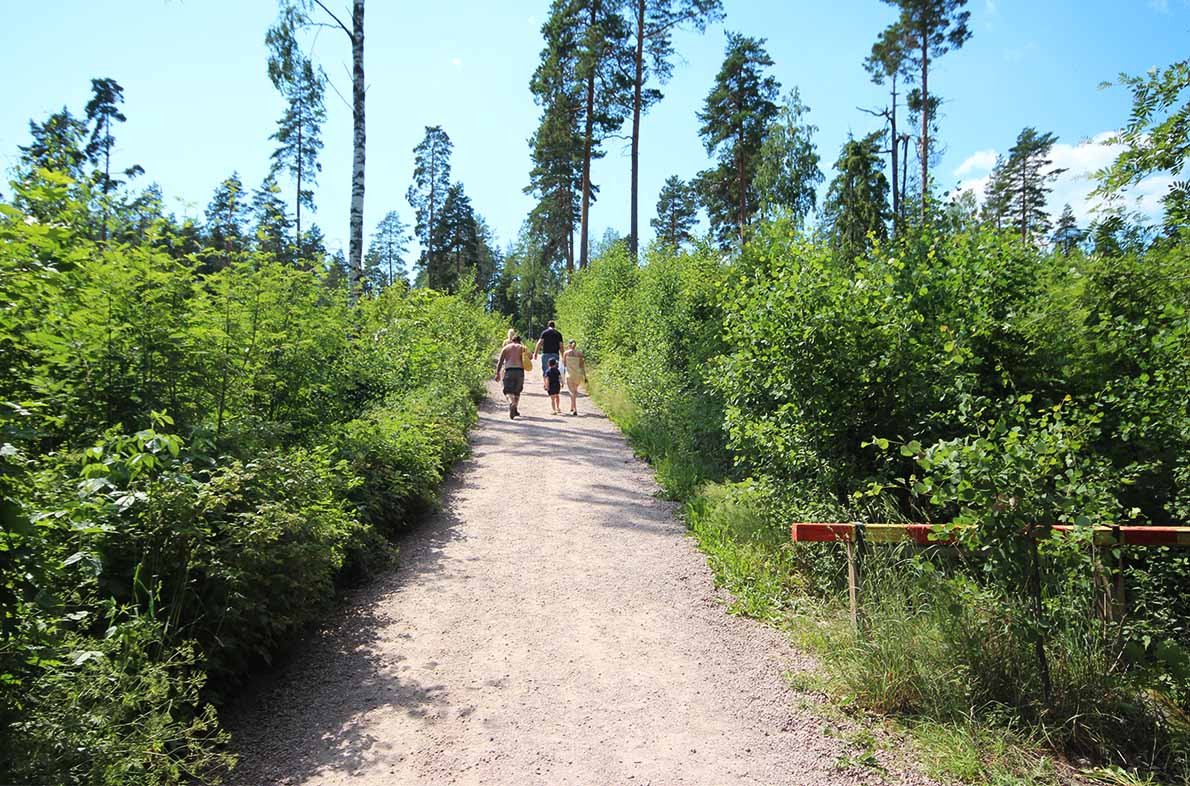 Tervajärven Uimaranta - Kuva: Tony Hagerlund