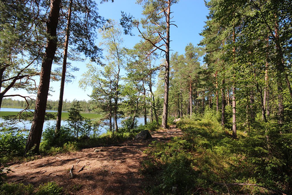 Nummijärvi Uimaranta - Kuva: Tony Hagerlund