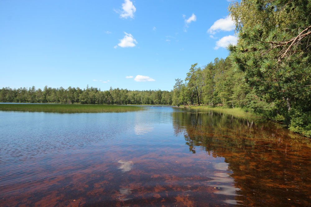 Nummijärvi Uimaranta - Kuva: Tony Hagerlund