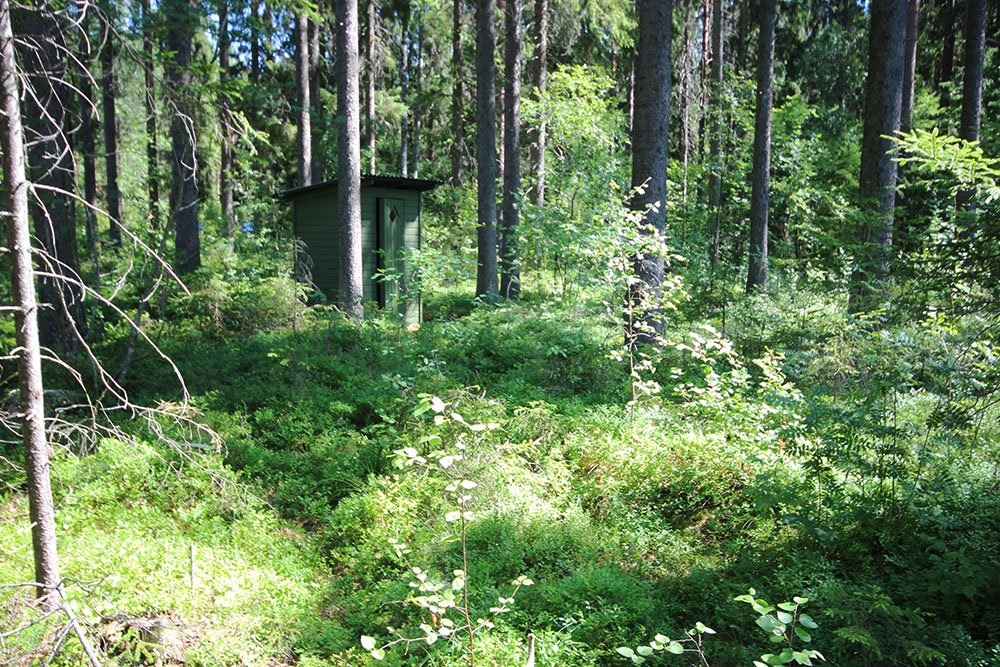 Nummijärvi Uimaranta - Kuva: Tony Hagerlund