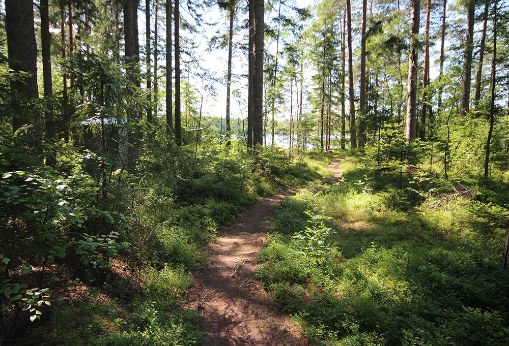 Nummijärvi Uimaranta - Kuva: Tony Hagerlund