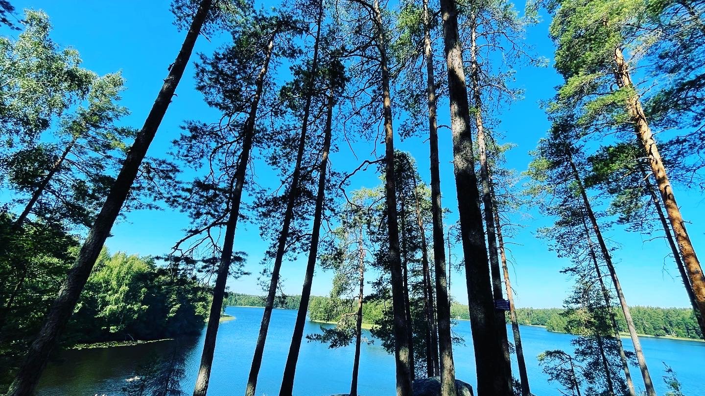 Hirvijärven Uimaranta