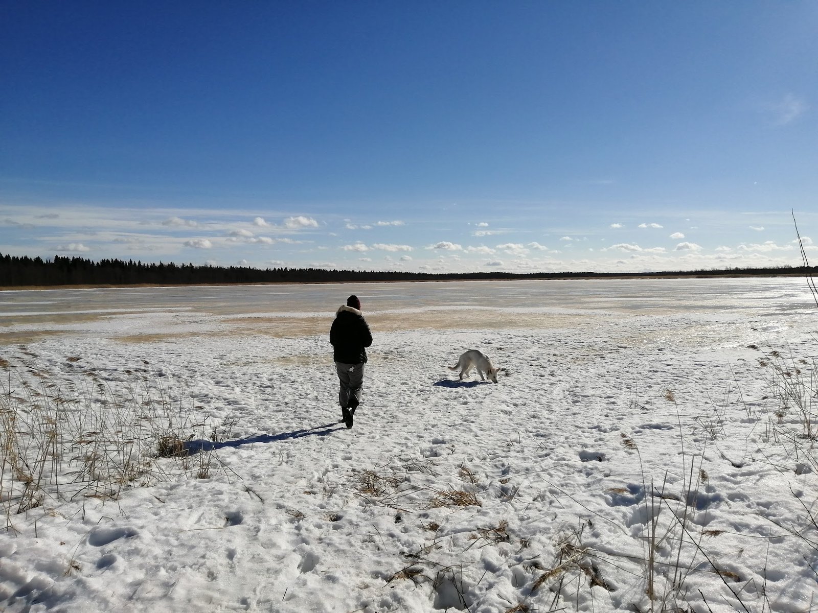 Laajalahden Uimaranta