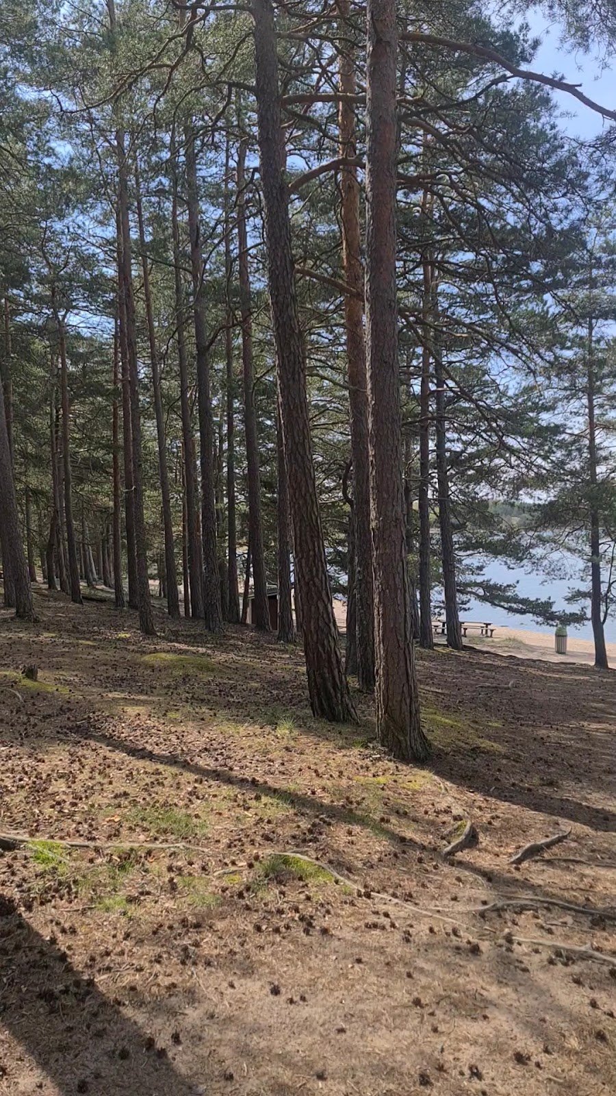 Mustfinnin Uimaranta