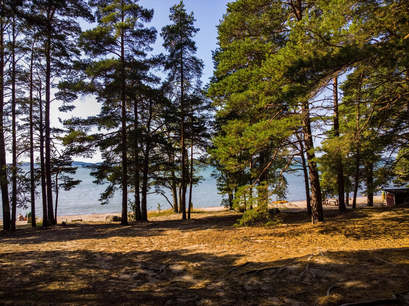 Mustfinnin Uimaranta