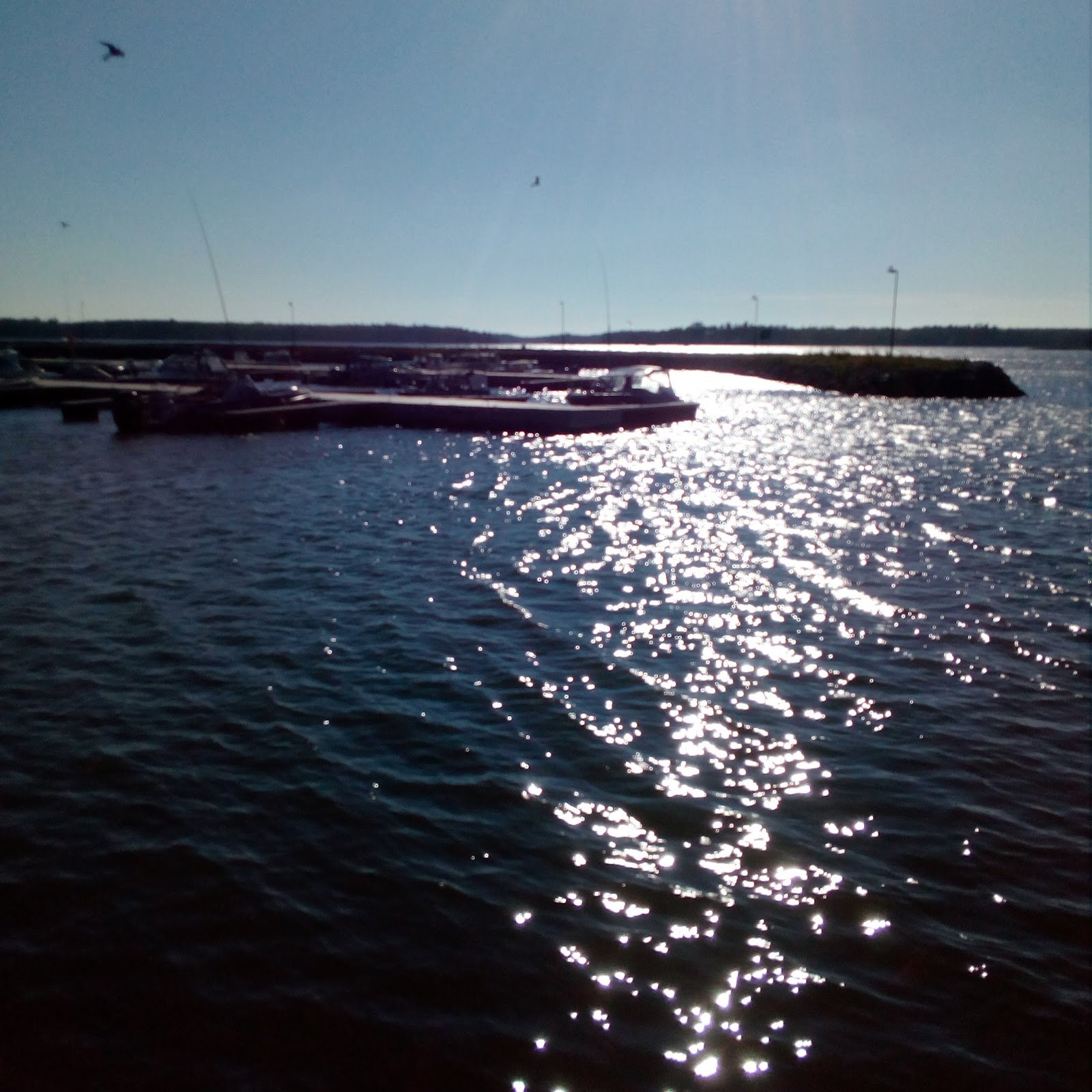 Paalijärven Uimapaikka