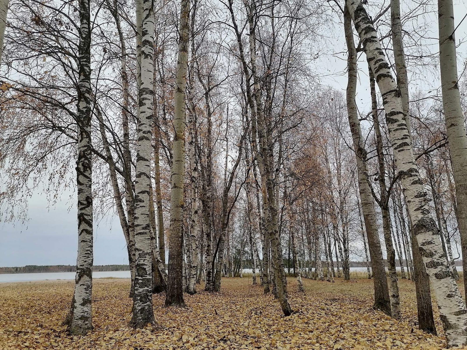 Pyykösjärven Uimaranta