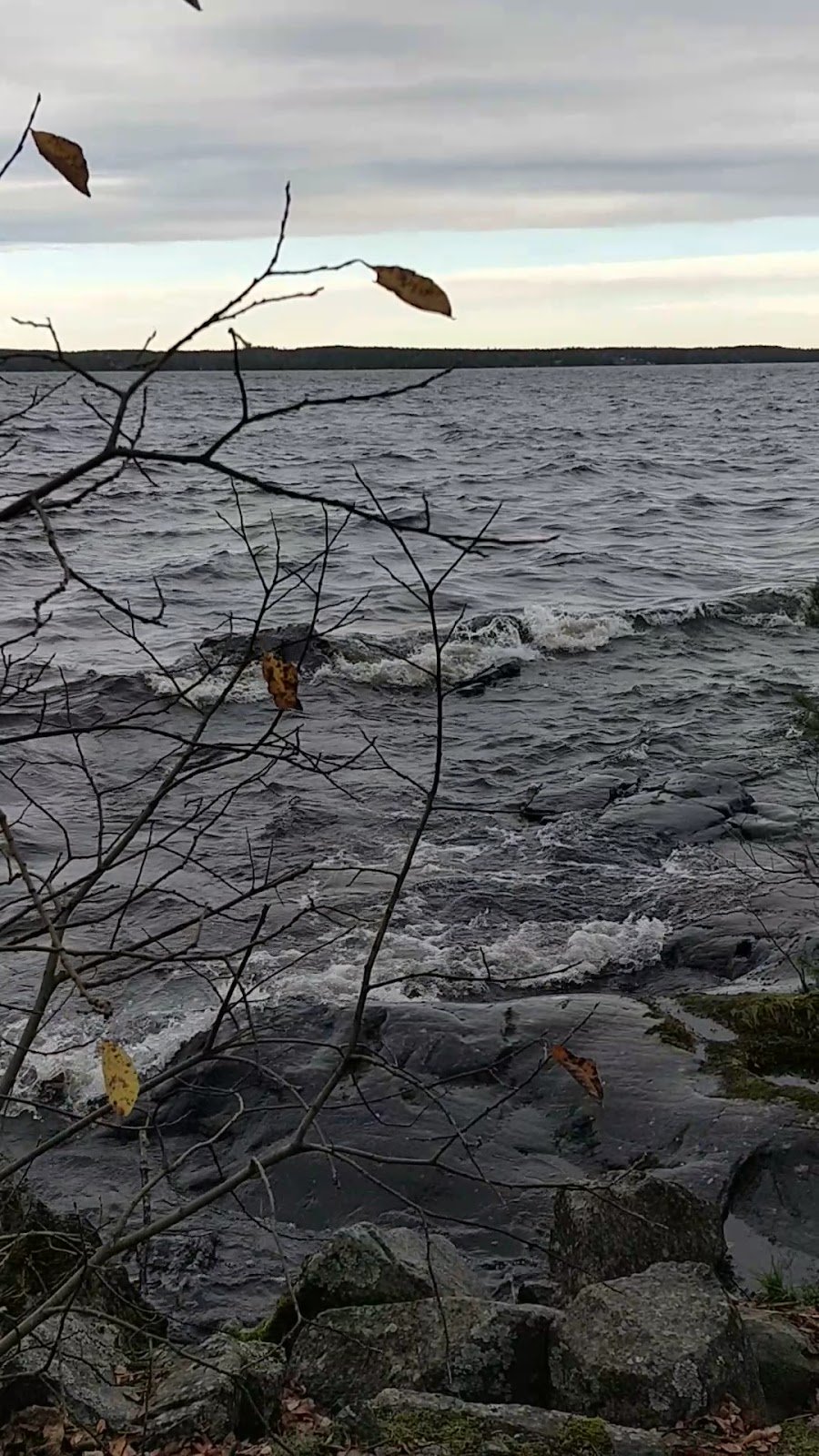 Rauhaniemen Uimaranta