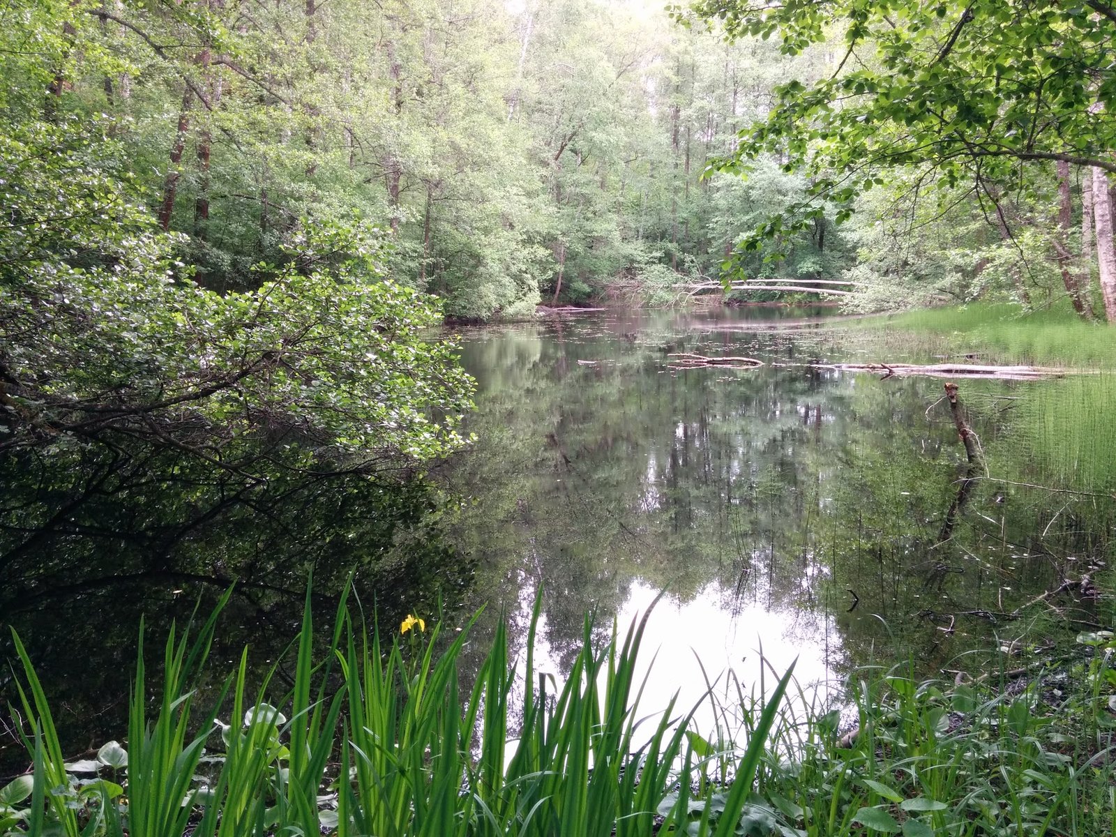 Sahajärven Uimaranta