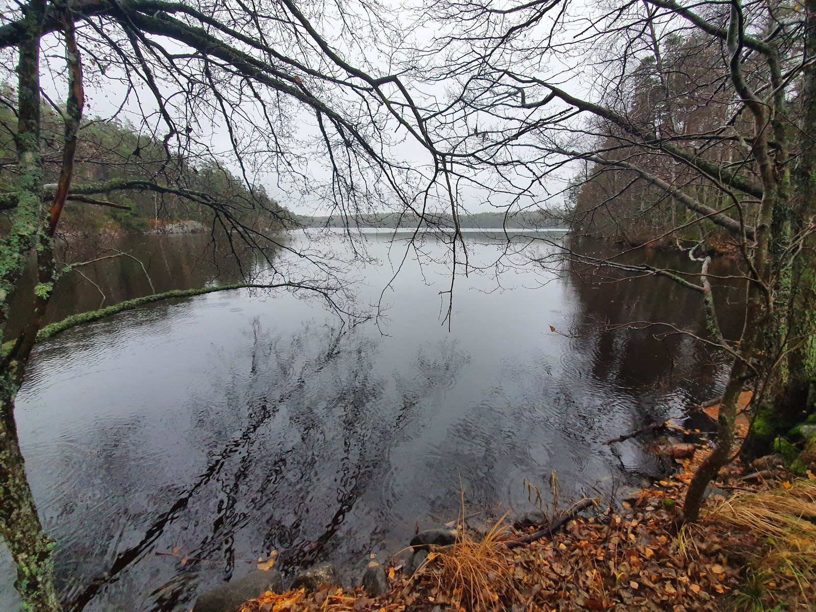 Sahajärven Uimaranta