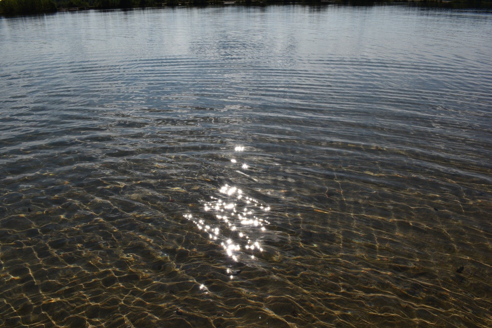Jäälin Monttu