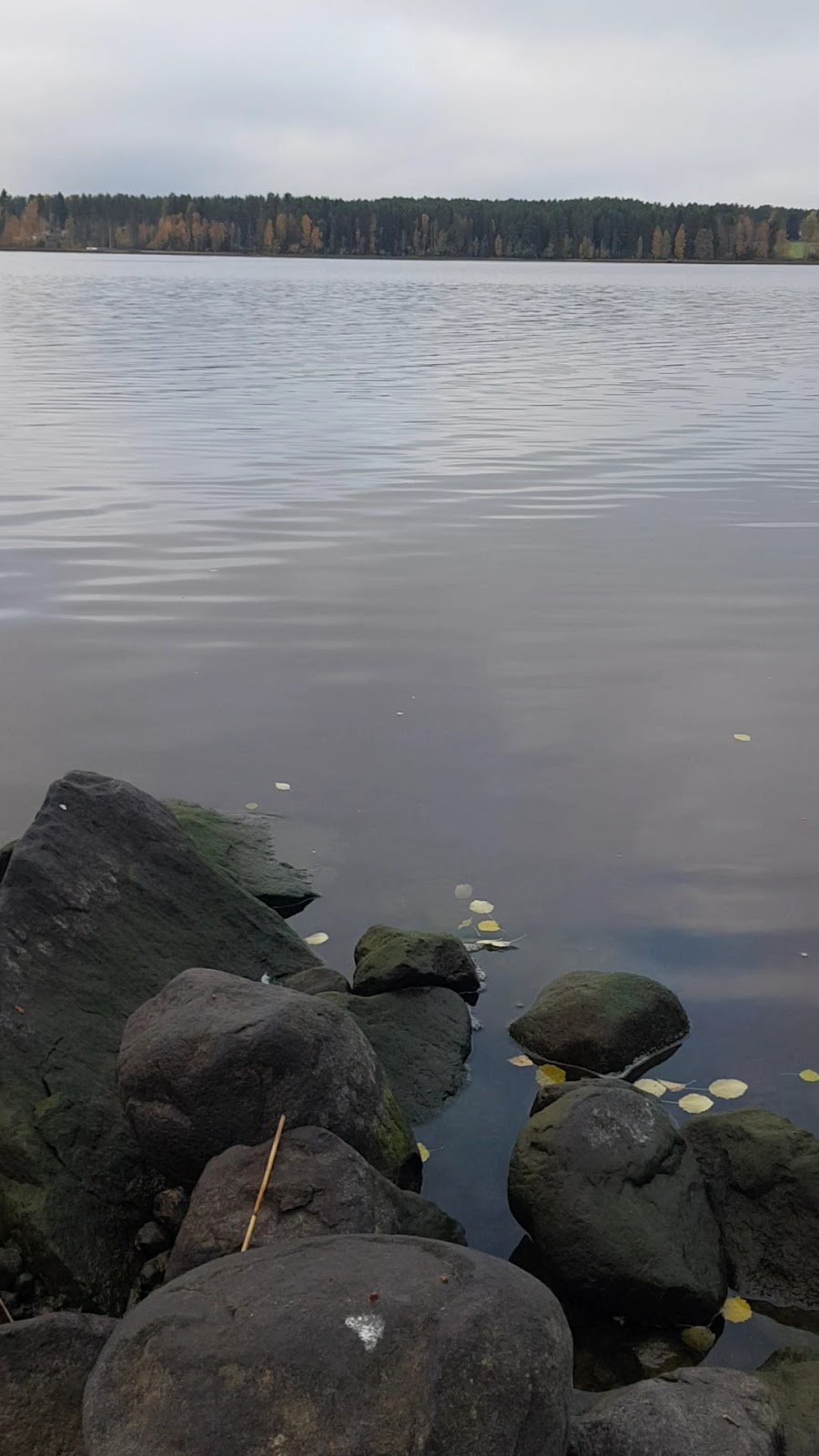 Kuluntalahden Uimaranta