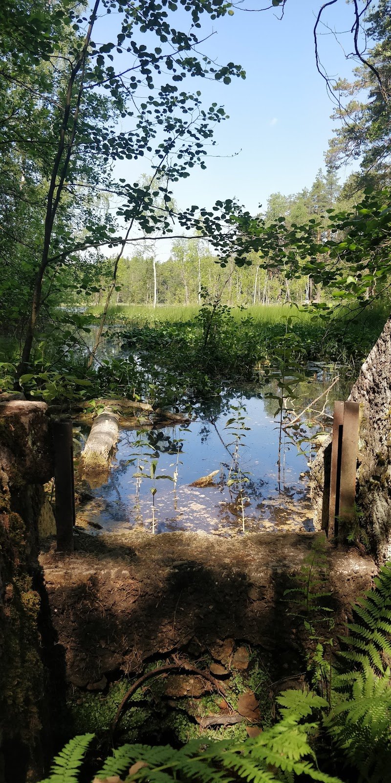 Myllyjärven Laituri