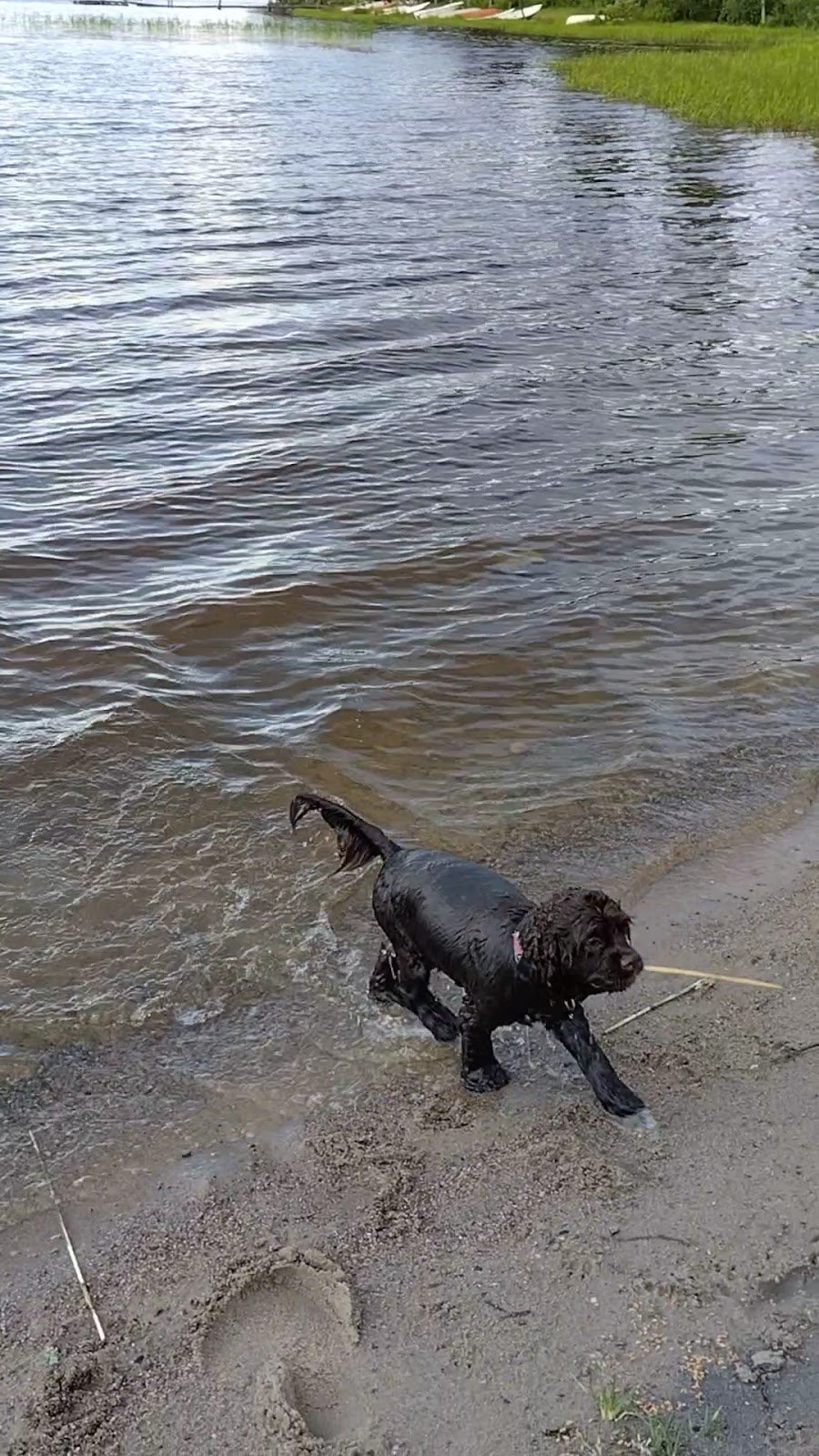 Ristikiven Uimaranta