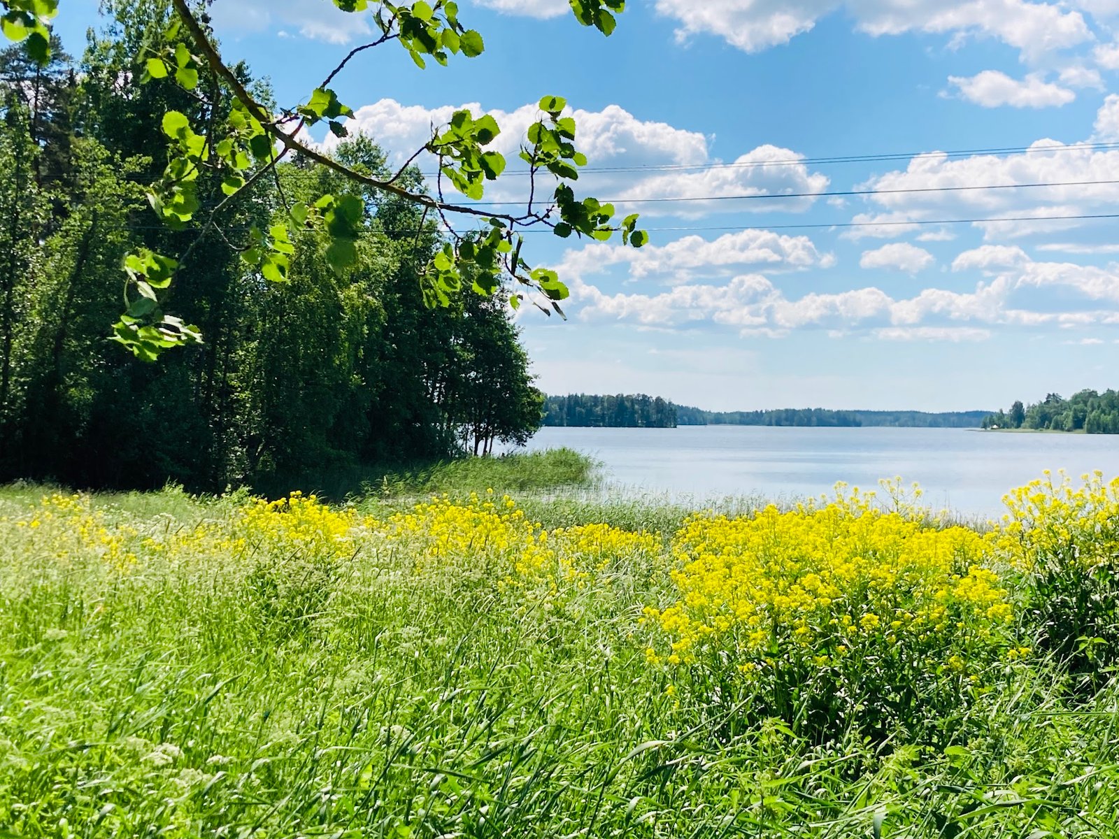 Sälinkään Uimaranta